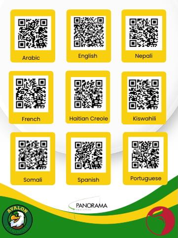 Panorama Flier 2